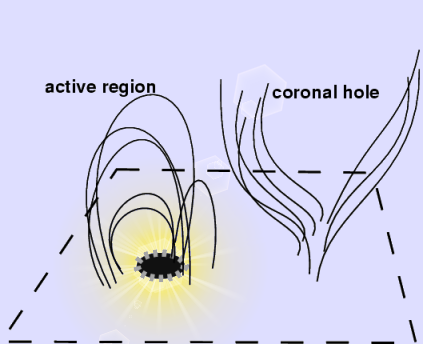 Sketch of active region and coronal hole magnetic structure